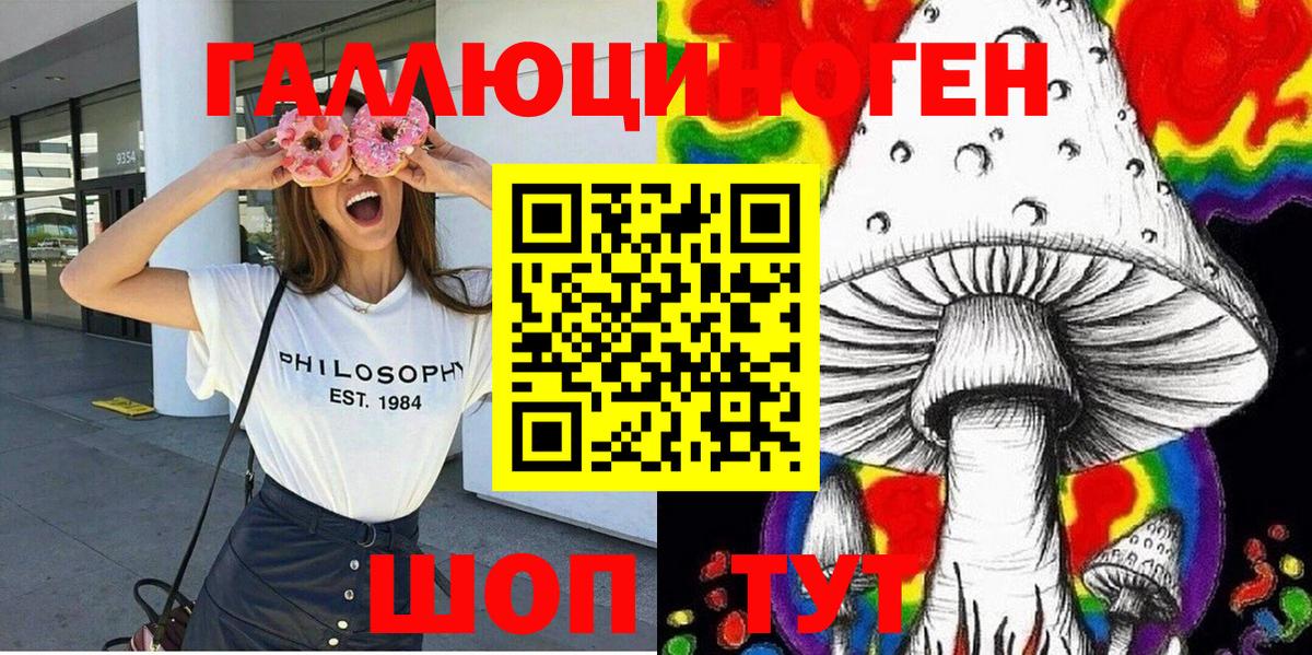 Новоалександровск  Псилоцибиновые грибы MAGIC MUSHROOMS  закладки  Галлюциногенные грибы Magic Shrooms  Вход с VPN 