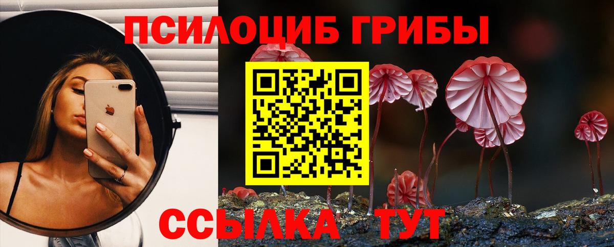 Псилоцибиновые грибы Magic Shrooms Новоалександровск